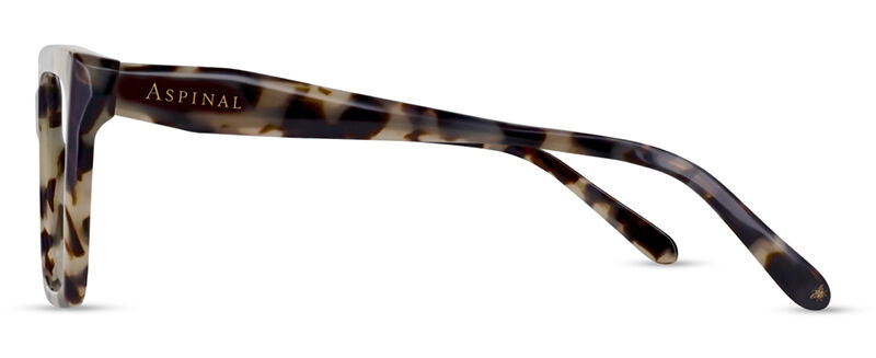 ASPL558 COL02 S